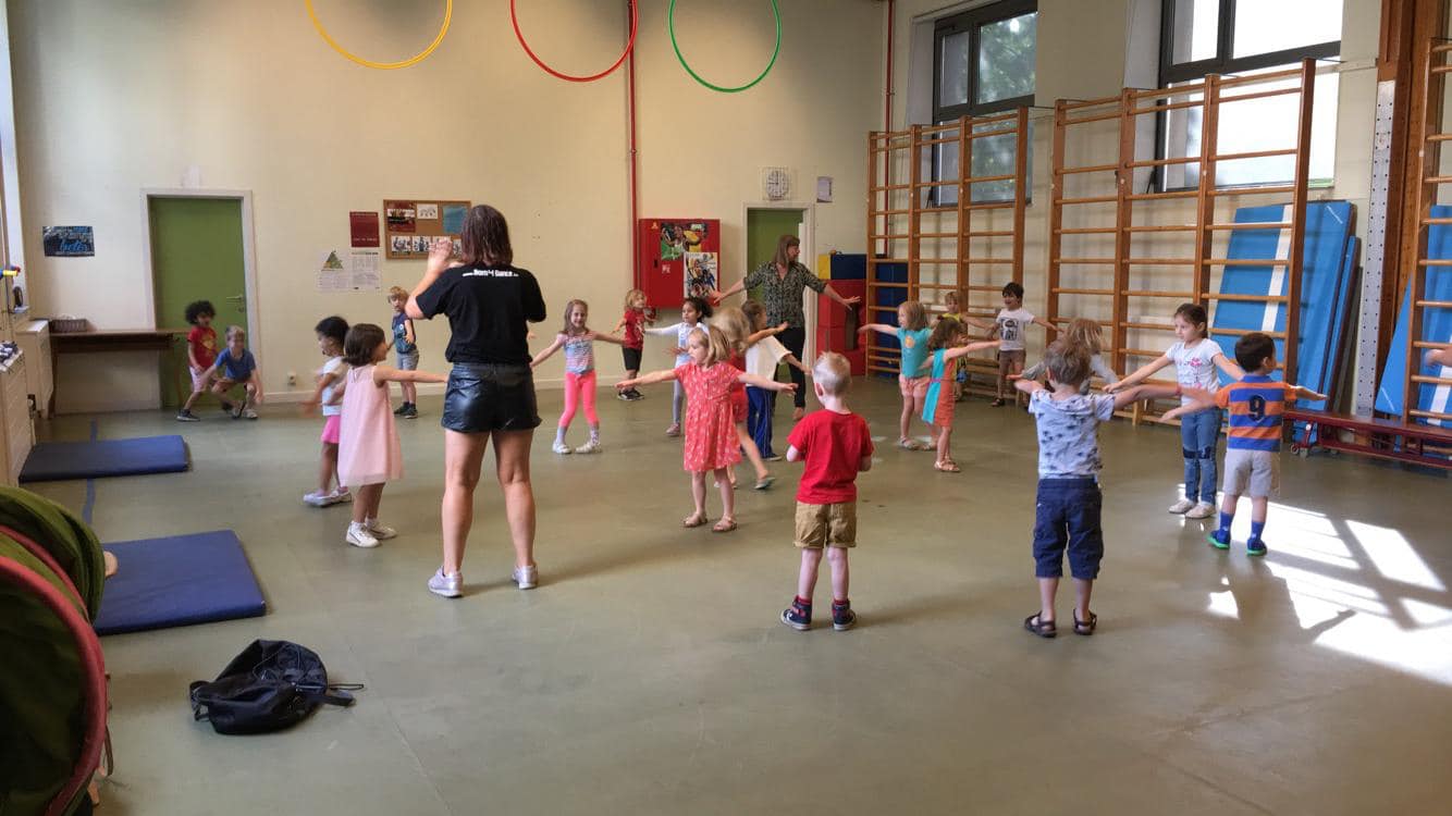 Mini Stylers